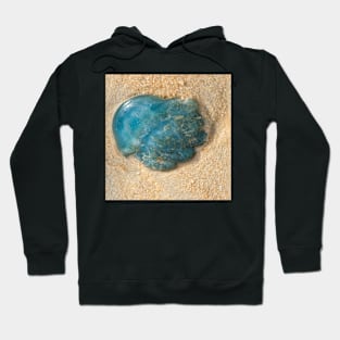 Jelly Fish 1 Hoodie